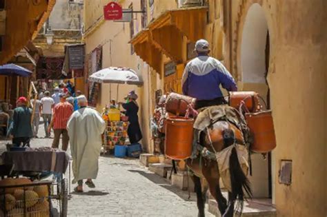 Excursión de un día con todo incluido de Cádiz a Tánger,。